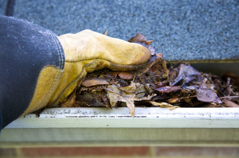 Removing Debris from Gutters