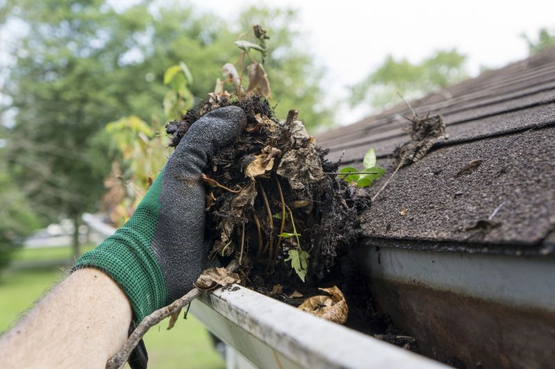 Roof Edge Cleaning