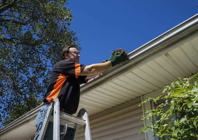 Ladder Access for Gutter Maintenance