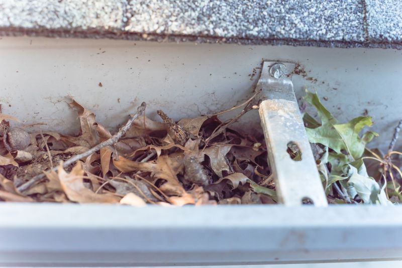 Clogged Gutter Causes
