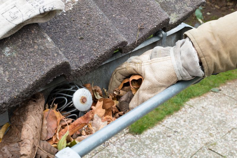 Clean Gutters with Debris Removal