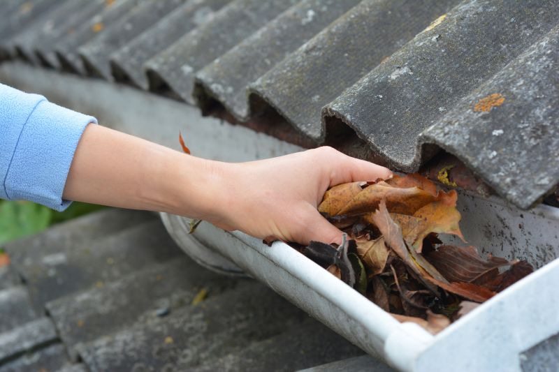 Gutter Maintenance