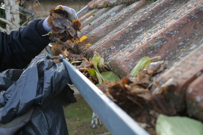 Roof Gutter Debris Removal