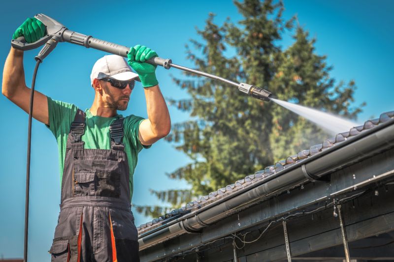 Specialized Gutter Cleaning Services
